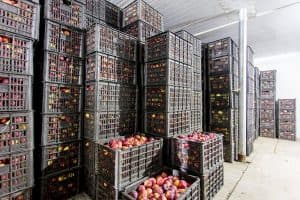 Kho Lạnh Stock