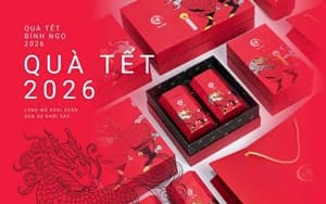 Hộp Quà Tết Long Mã