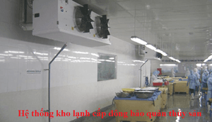 Kho Lạnh Cấp Đông Bảo Quản Thủy Sản