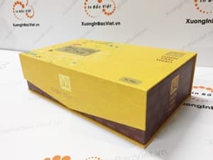 In Hộp Đựng Đồng Trùng Hạ Thảo