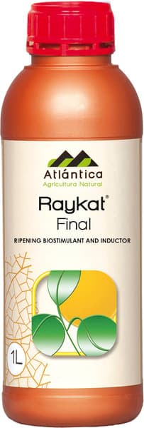 Raykat Final