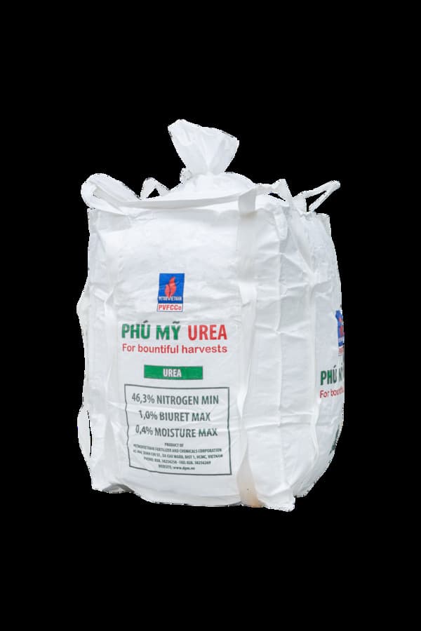 Bao Jumbo thân 4 tấm