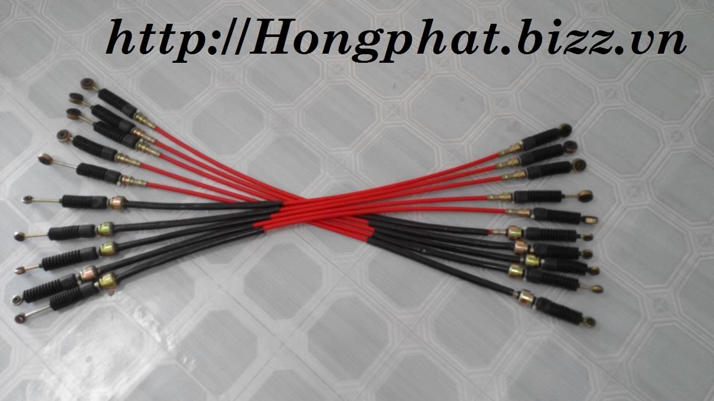 Dây đi số
