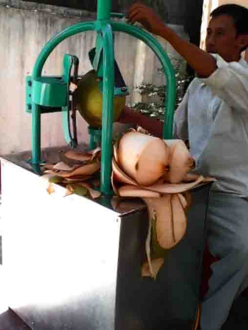Máy gọt vỏ dừa tươi