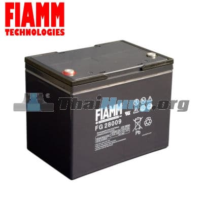 Ắc quy Fiamm