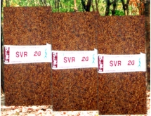 Cao su SVR 20