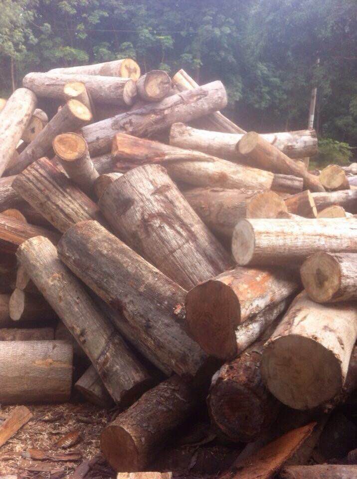 Củi đốt công nghiệp