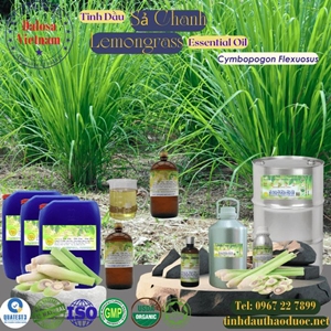 Tinh Dầu Sả Chanh