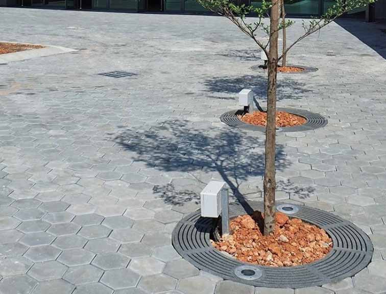 Ghi bảo vệ gốc cây composite khung tròn