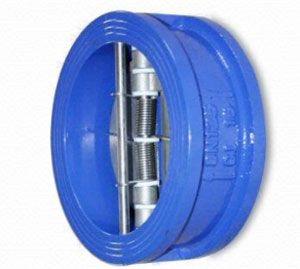 Van bướm 1 chiều