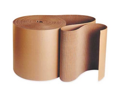 Cuộn giấy 2 lớp