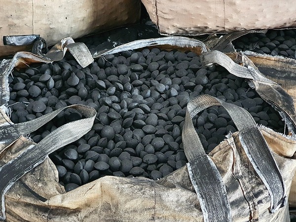 Than quả bàng công nghiệp