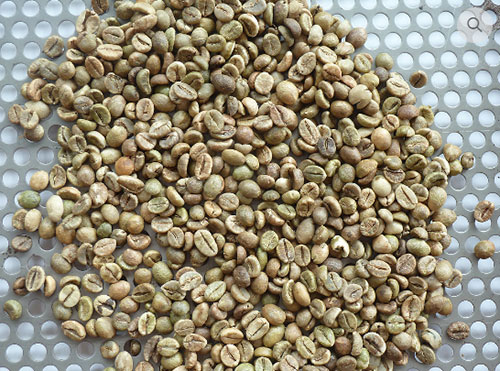 Cà phê Robusta