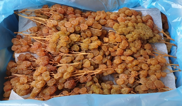 Nho khô nguyên cành