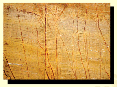 Đá Marble vàng nhiệt đới