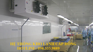 Kho Lạnh Cấp Đông