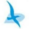 Daiya Technical Arts Viet Nam logo
