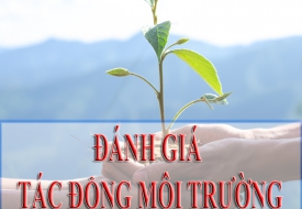 Lập báo cáo đánh giá tác động môi trường