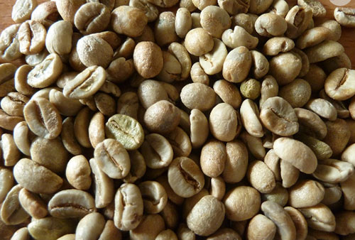 Cà phê Arabica