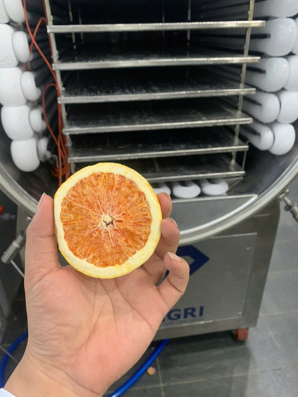 Máy sấy thăng hoa 50kg