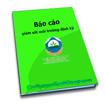 Báo cáo giám sát môi trường định kỳ