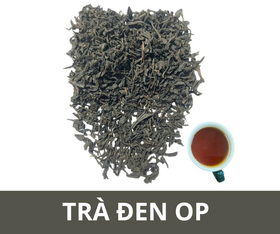Trà đen OP