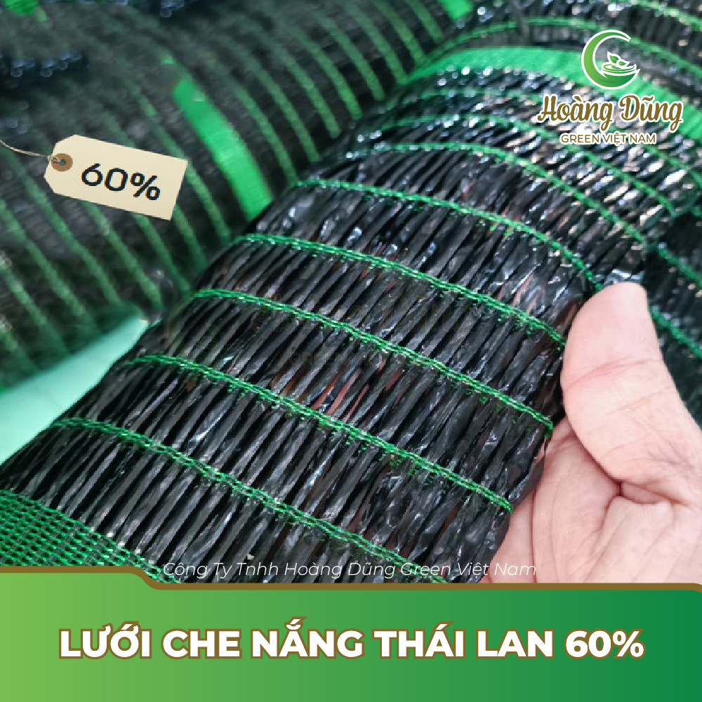 Lưới che nắng Thái Lan 60%
