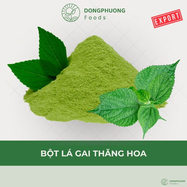 Bột lá gai thăng hoa