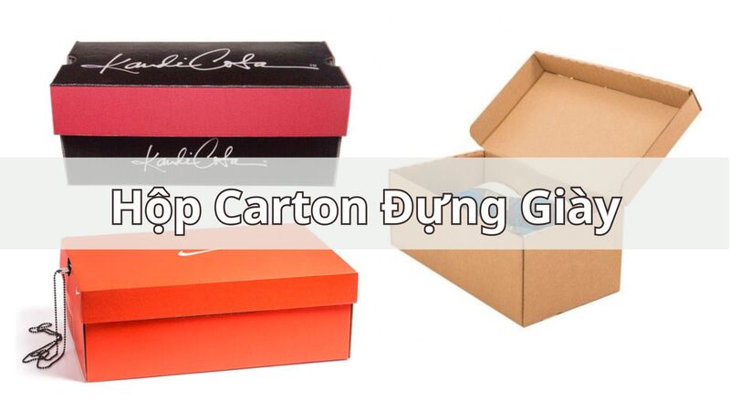 Hộp carton đựng giày