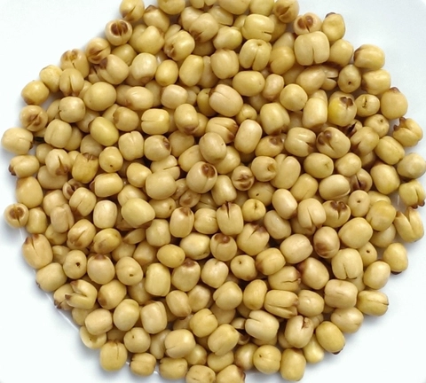 Dried lotus seed