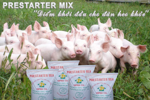 PRESTARTER MIX chuyên dùng cho heo con 5-7 kg