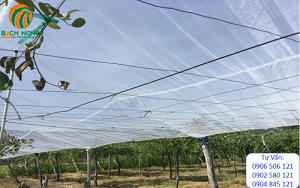 Lưới Ngăn Côn Trùng 16 MESH