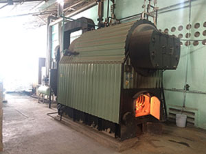 Nồi hơi tổ hợp ống nước ống lửa 1TH