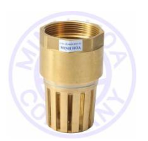 Rọ đồng MBV
