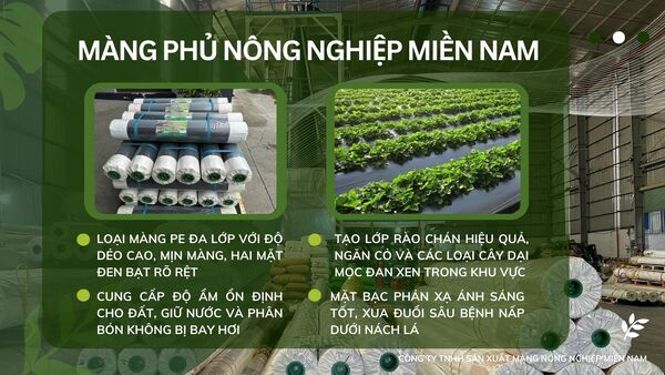 Màng phủ nông nghiệp Miền Nam