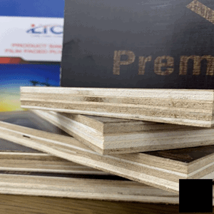 Ván ép phủ phim LTC Premium