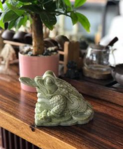 Thiềm thừ đá