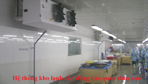 Kho Lạnh Cấp Đông Bảo Quản Thủy Sản