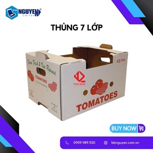 Thùng Giấy Carton 7 Lớp