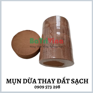 Mụn dừa