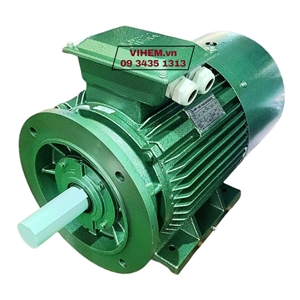 Động Cơ Điện 3 Pha Mặt Bích