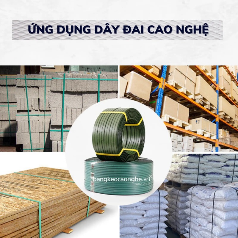 Dây đai nhựa PP