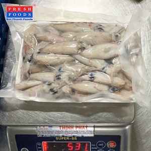 Mực ghim sữa