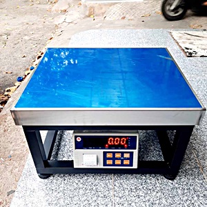 Cân Ghế Điện Tử In Tem Dán Yaohua 300kg