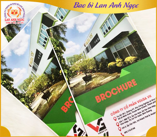 In brochure