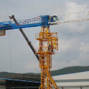 Cẩu Tháp QTZ
