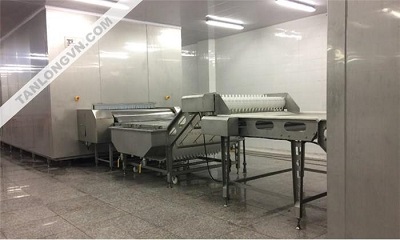 Băng Chuyền IQF Phẳng Cấp Đông Cá