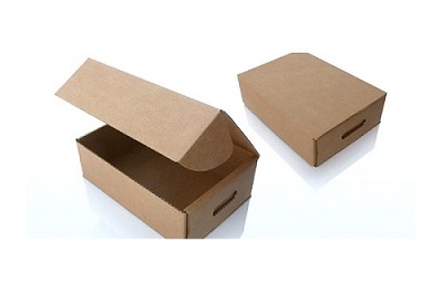Thùng carton nắp cài