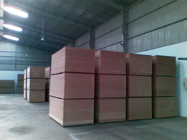 MDF Việt Nam