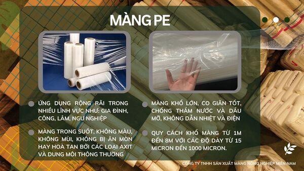 Màng PE